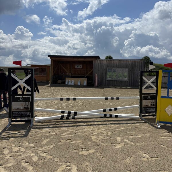 Desing Loft Desing Loft